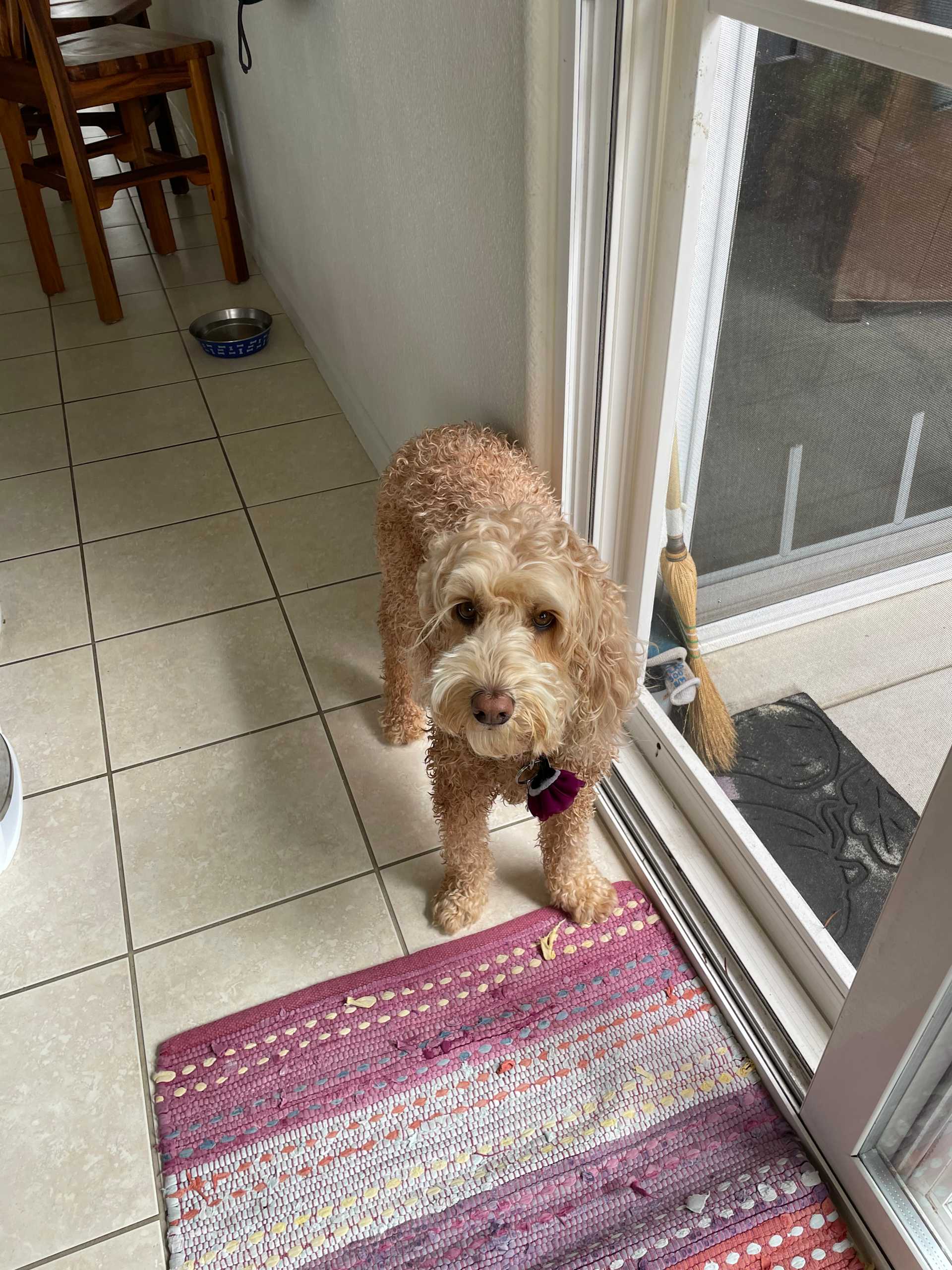 Back Door Check-In