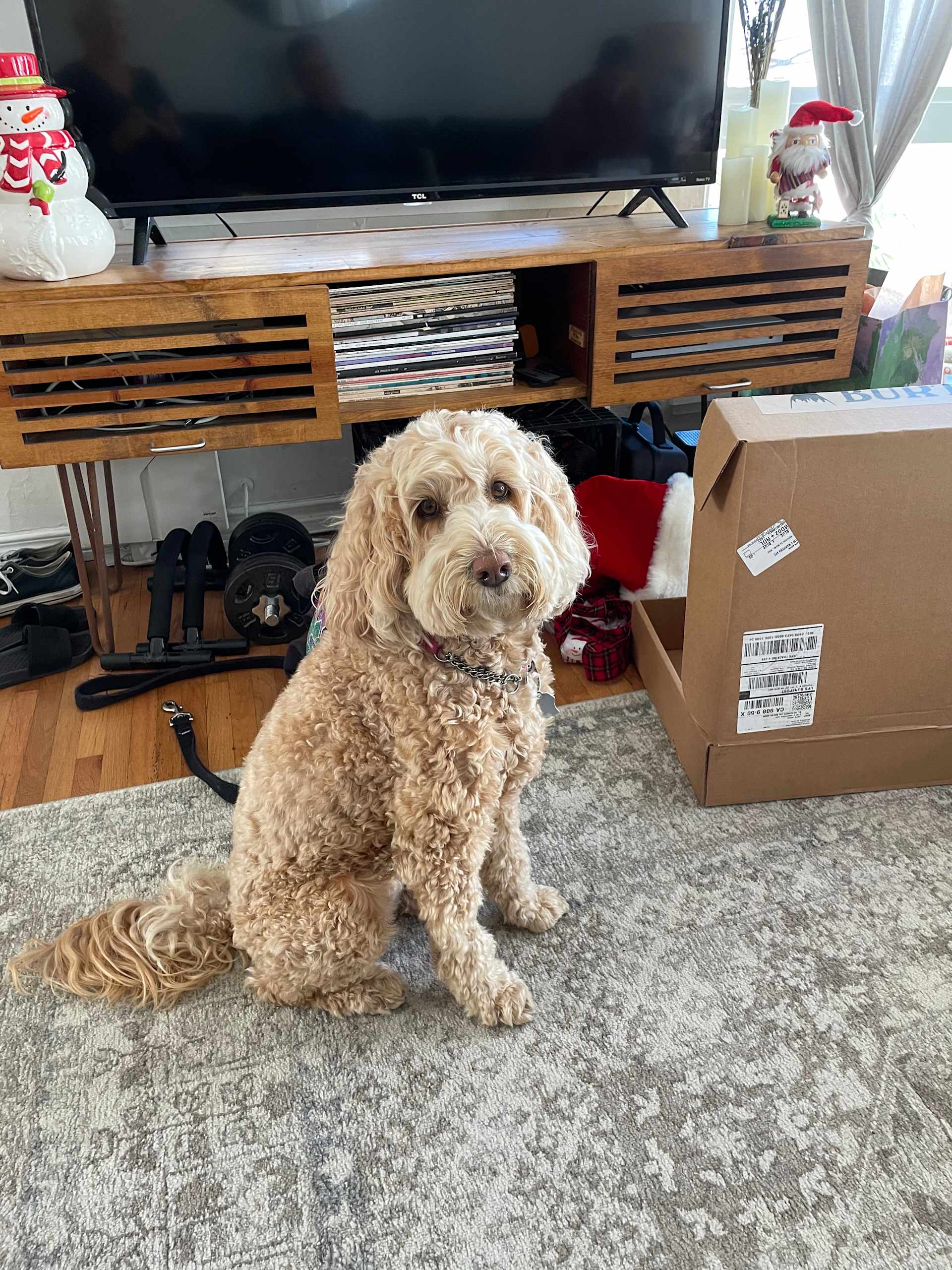 Christmas Chaos Supervisor
