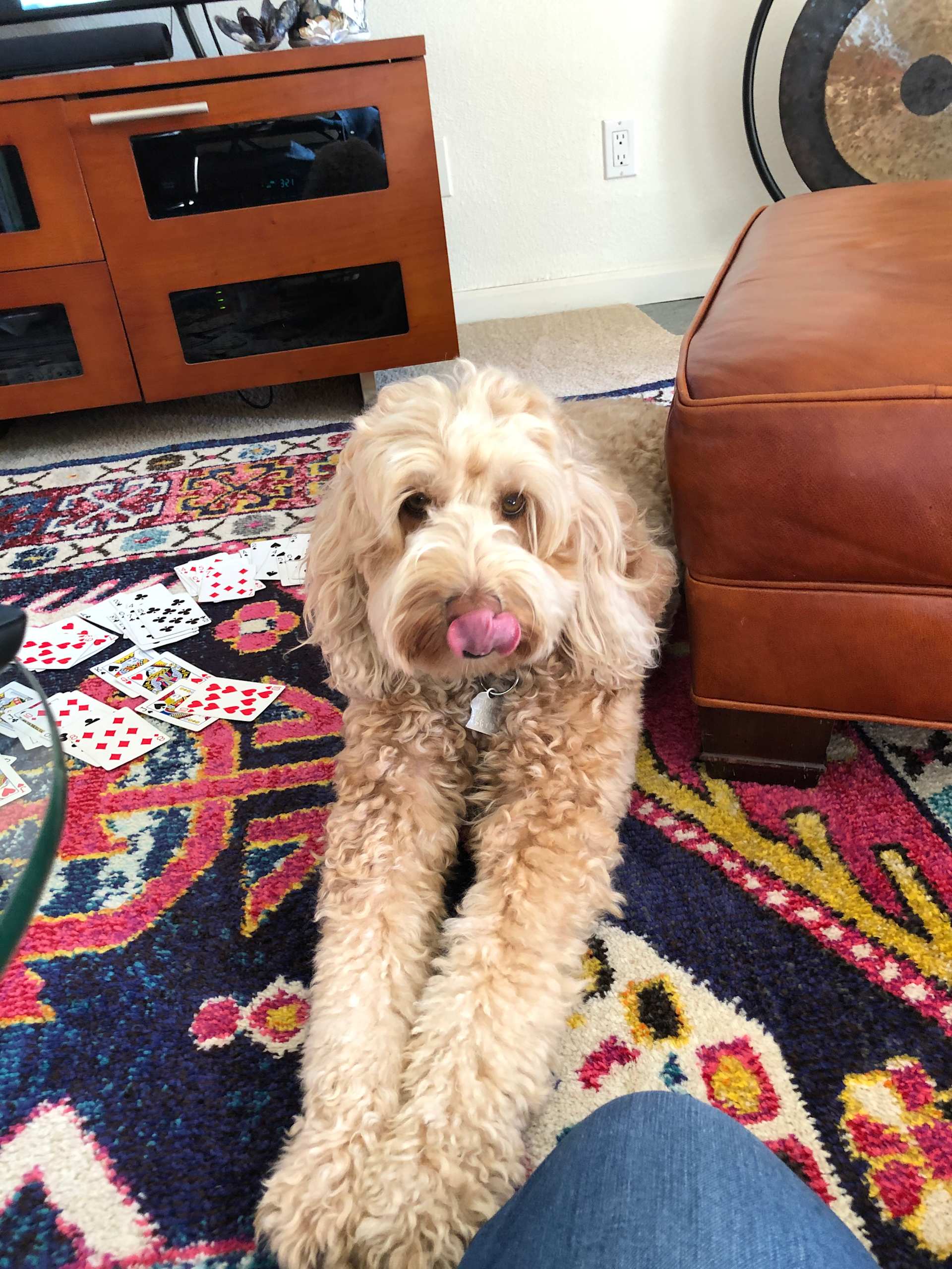Tongue-Out Tuesday