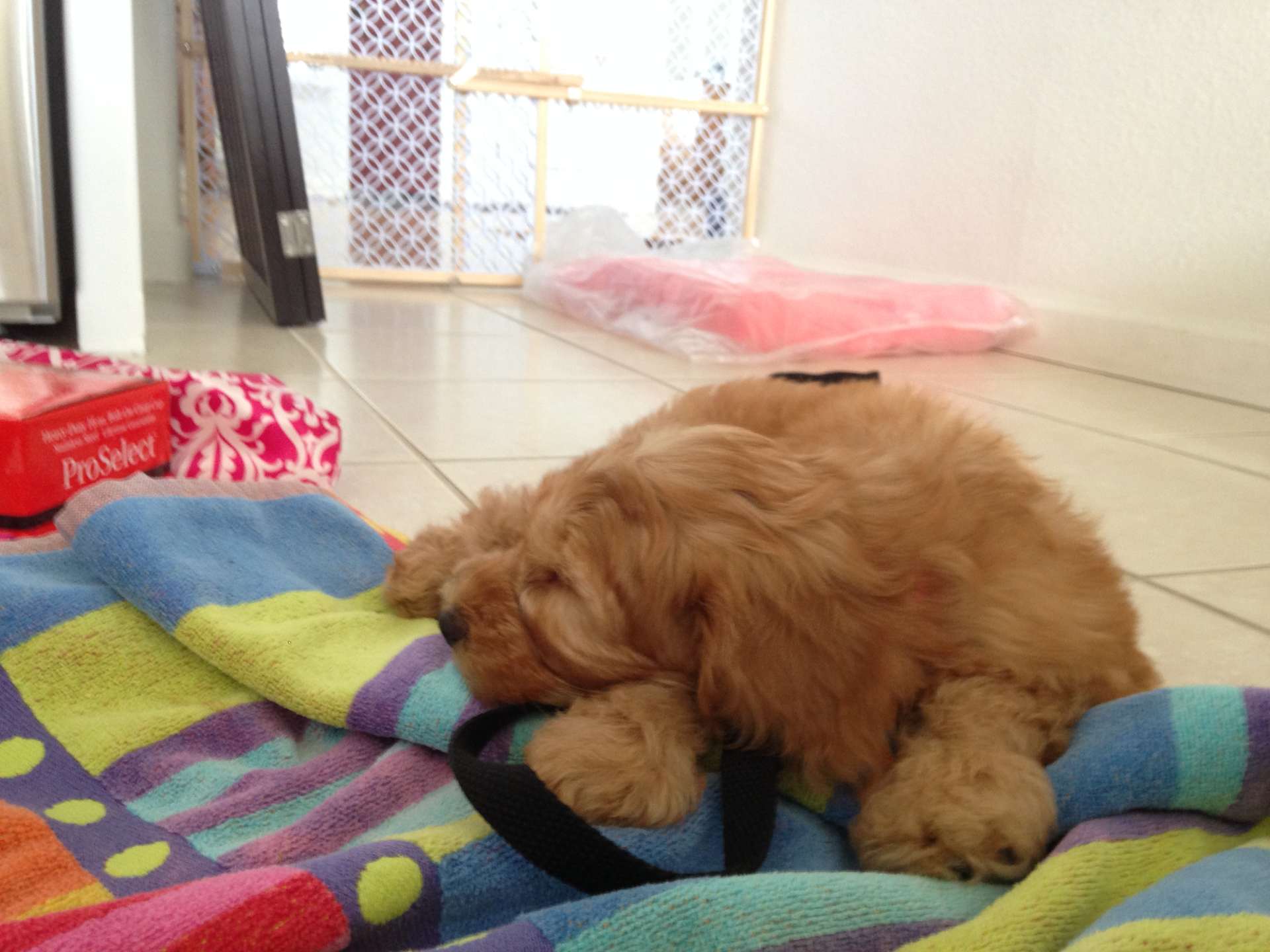 Tucked In Tight