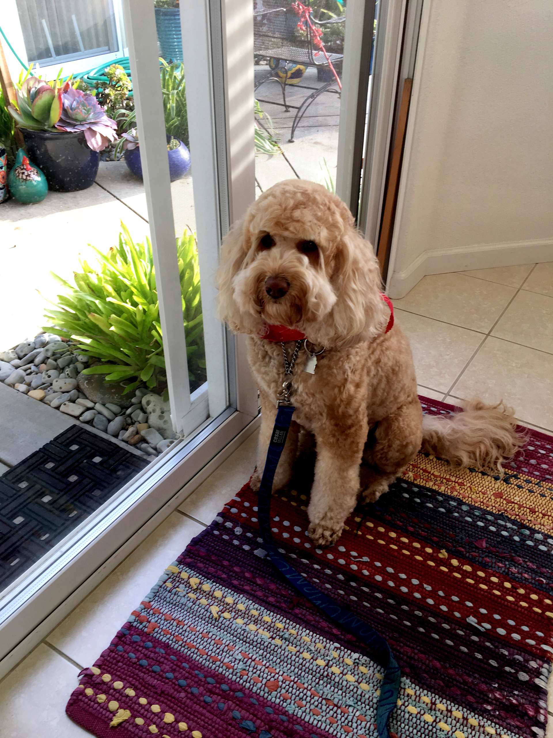Ready to Explore Outside