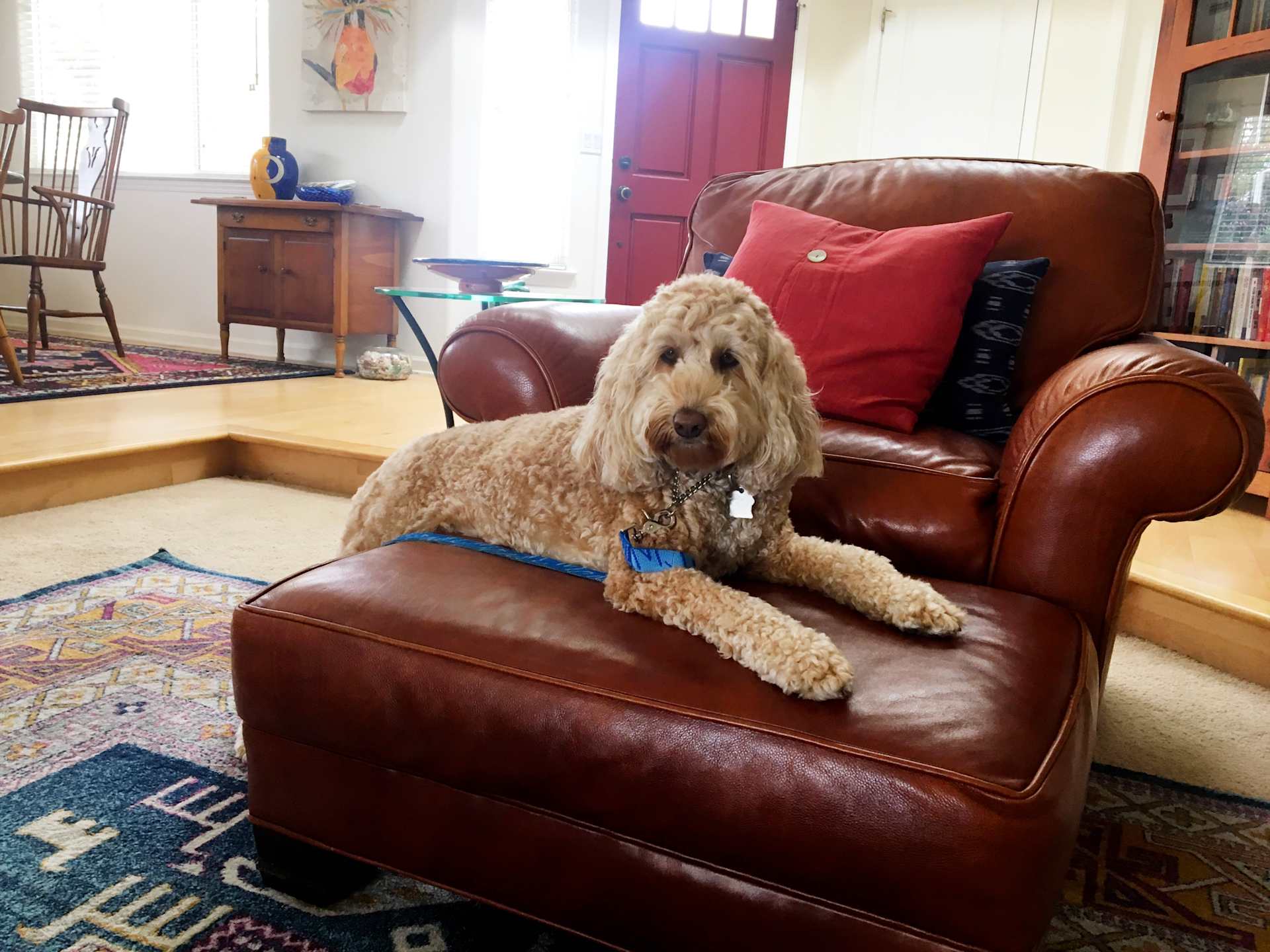 Queen of the Chair