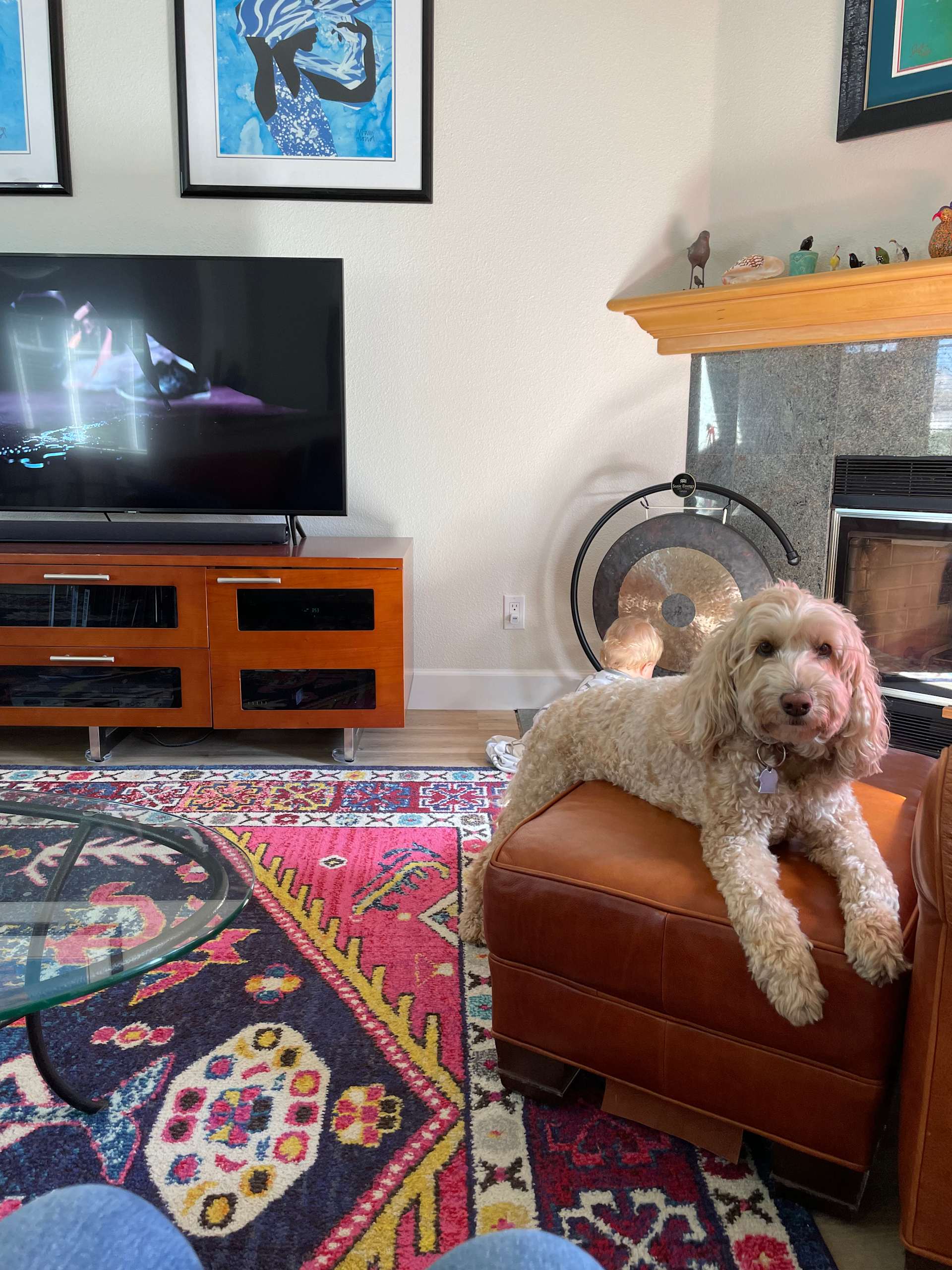 Queen of the Chair