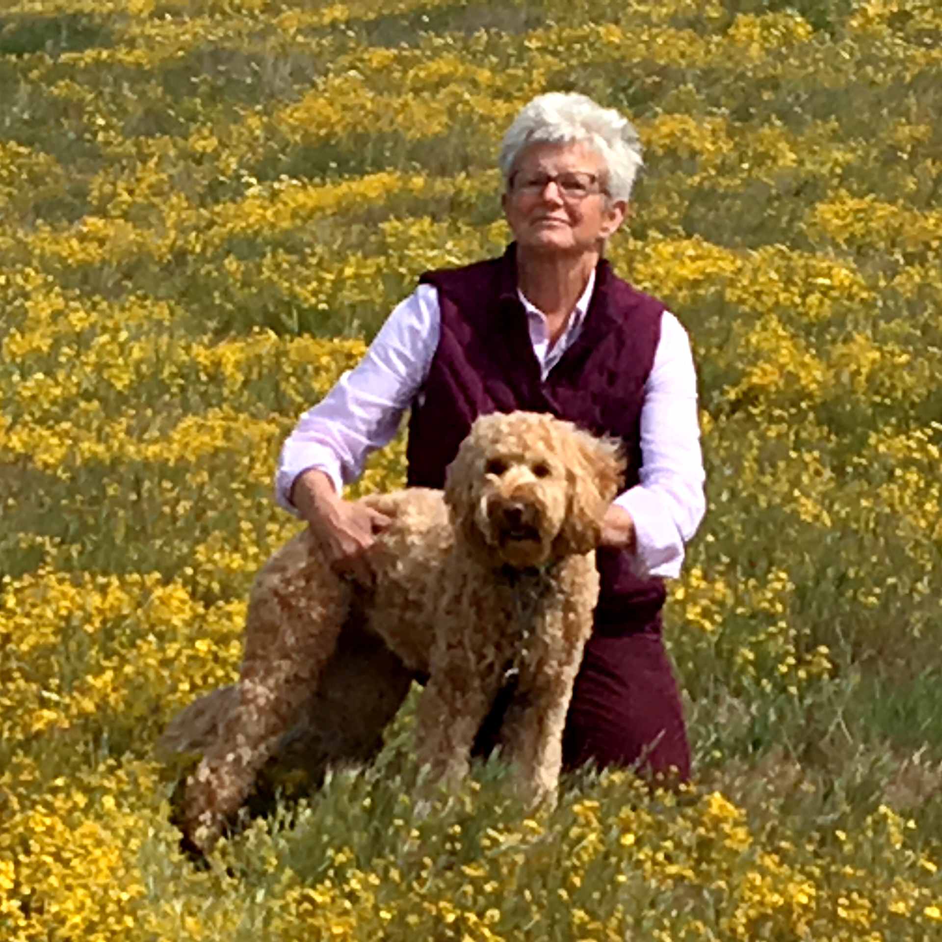 Golden Fields with Paige
