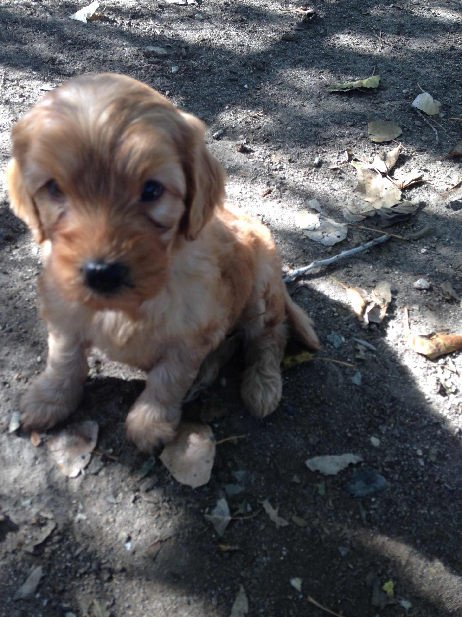 Baby Gracie Gazes Up