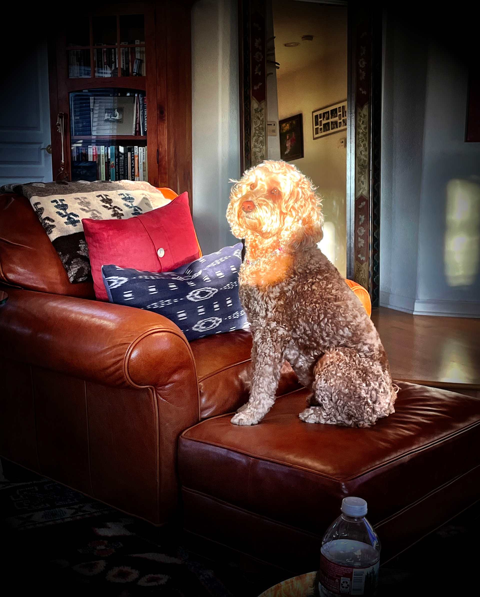 Golden Hour Guard