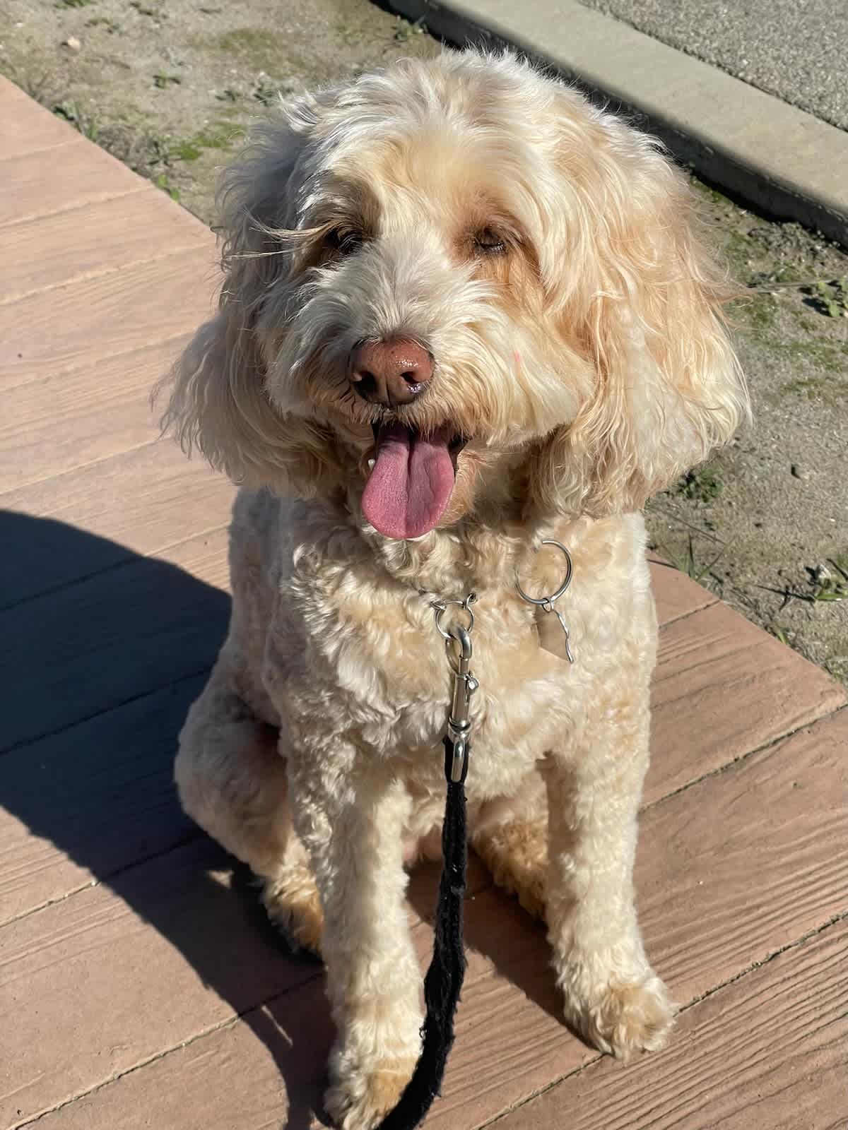 Happy Walk Smile