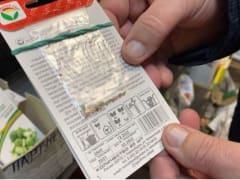 Как правильно выбрать семена на рассаду