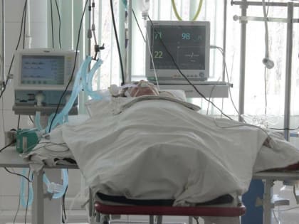 Опасности щавеля: как он влияет на здоровье почек