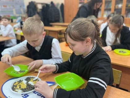 Чистопольские гимназисты изготовили экологические кормушки