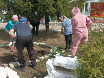 Садоводство как направление трудовой реабилитации