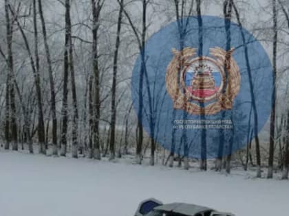 На трассе в РТ женщина погибла в результате опрокидывания автомобиля в кювет