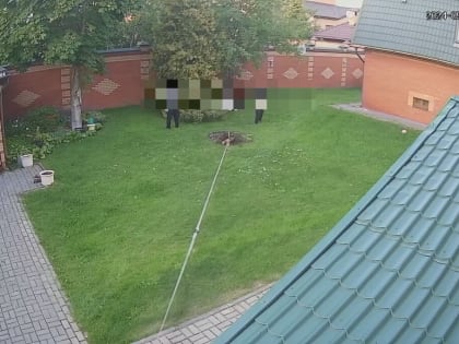 Уголовное дело в Казани: смерть рабочего при спиле дерева
