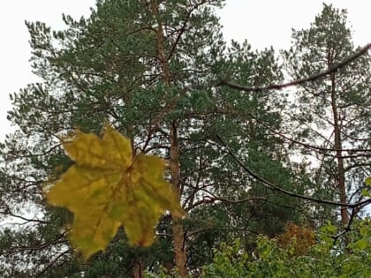 Погода в Закамье: Обзор на предстоящие дни