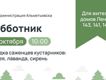 Посадка кустарников на улице Ленина в этом воскресенье