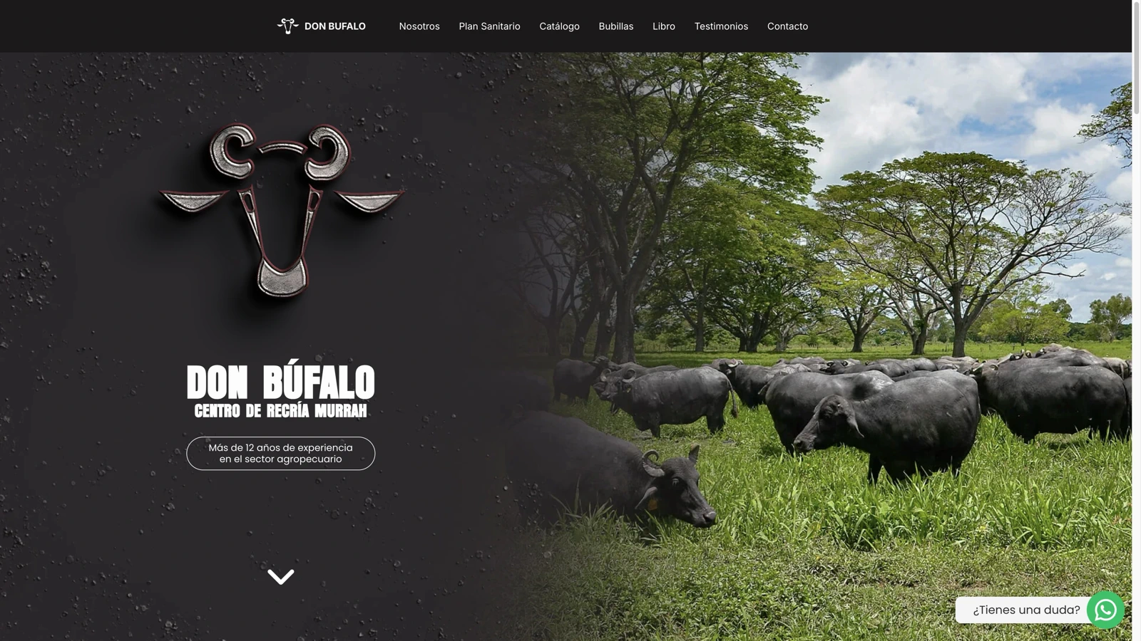 Don Búfalo Landing Page