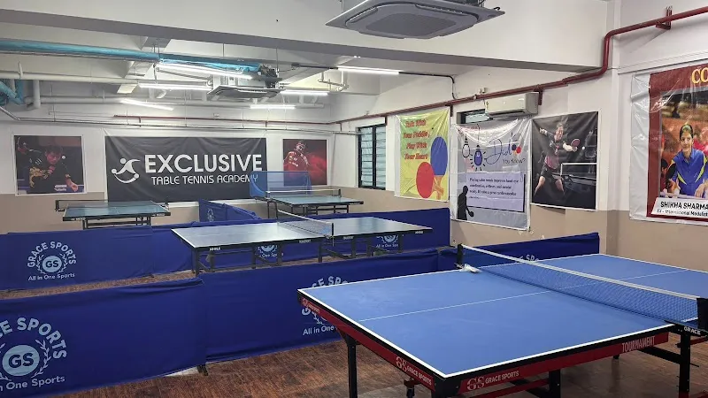 Exclusive Table Tennis Academy in Gurgaon