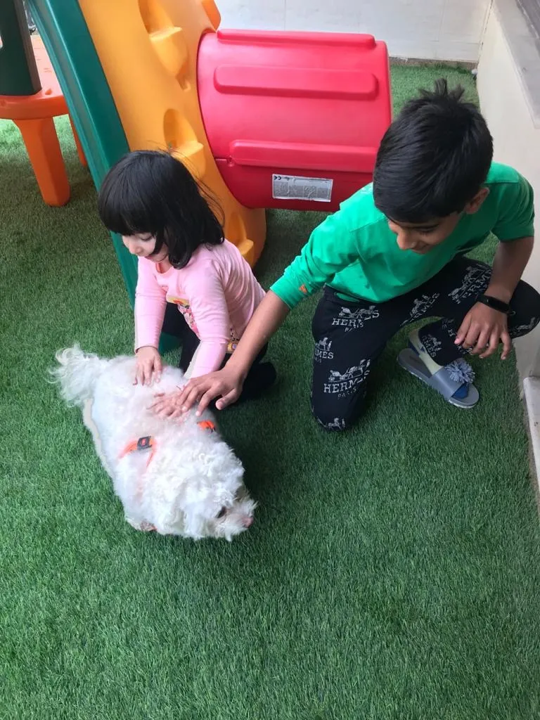 Aptech International Preschool photo 4