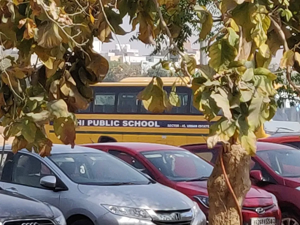 Delhi Public School Primary Wing photo 3