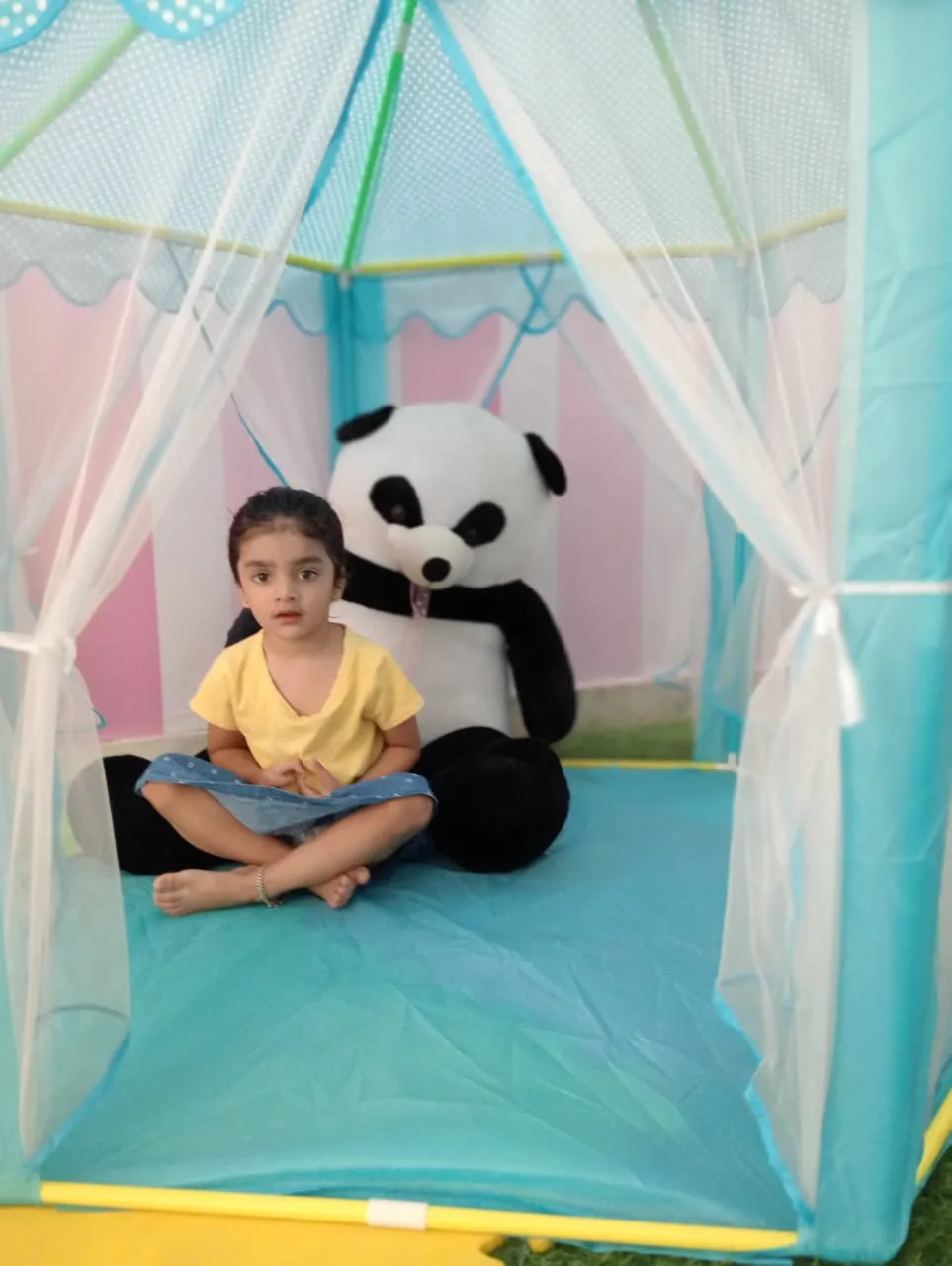 Nest Play School - Model Town Branch photo 5