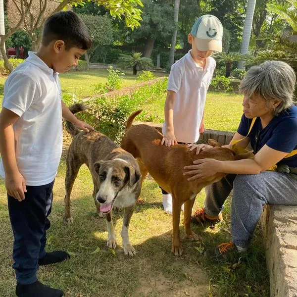 Vedanya International School photo 6