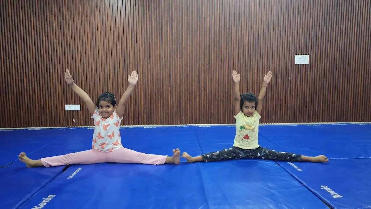 FLYING WINGS GYMNASTICS ACADEMY photo 4