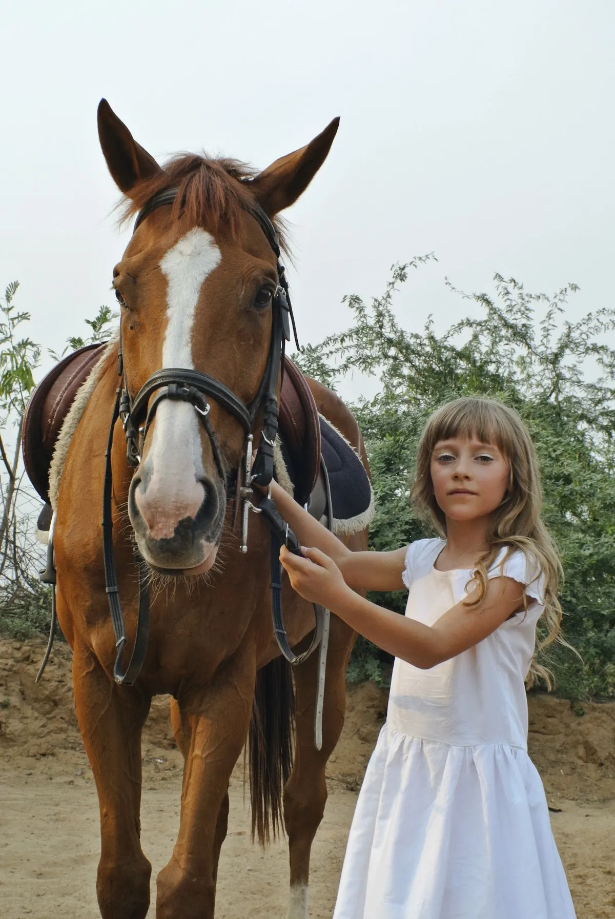 Gurgaon Horse Club photo 5