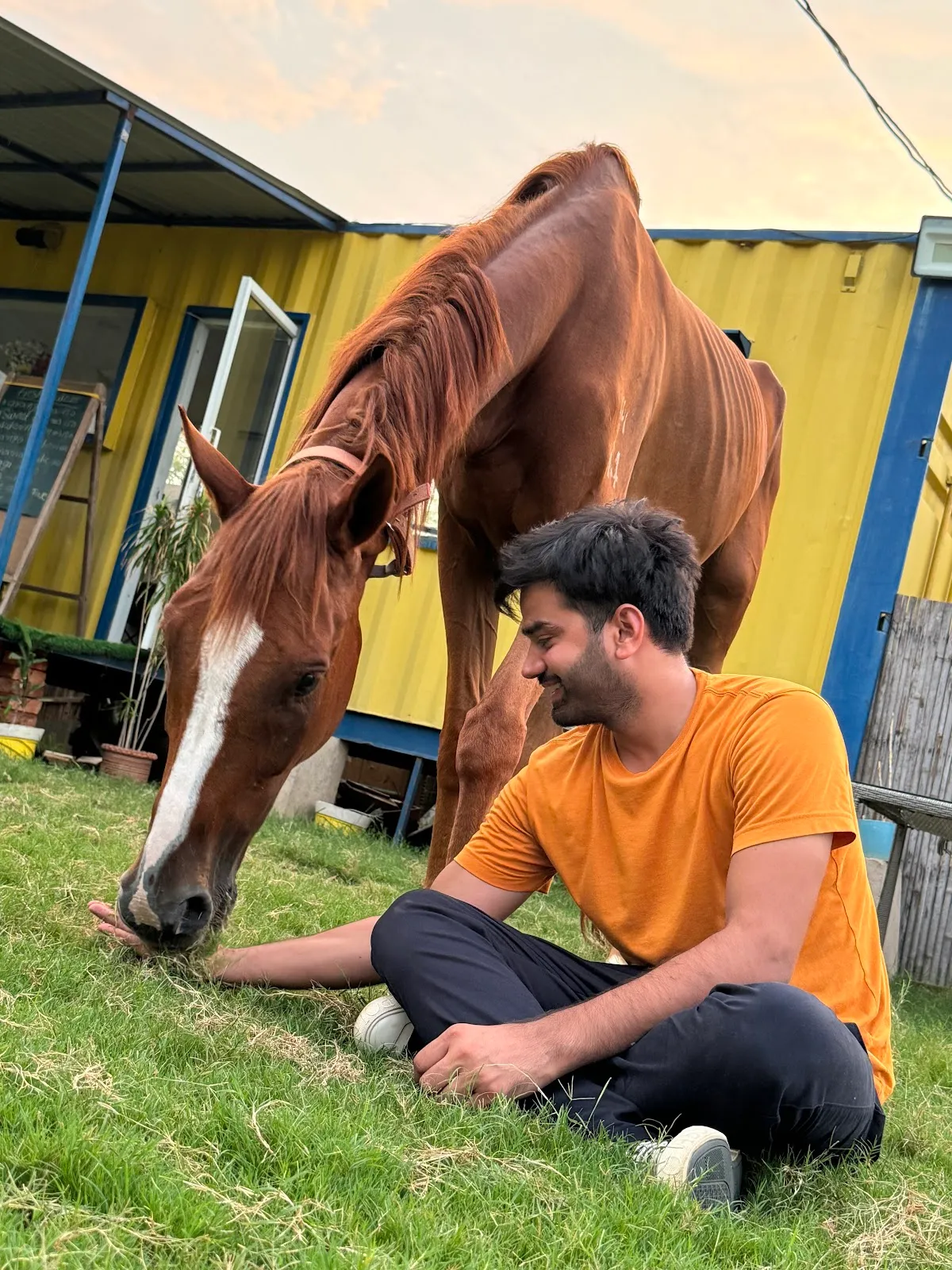 Gurgaon Horse Club photo 6