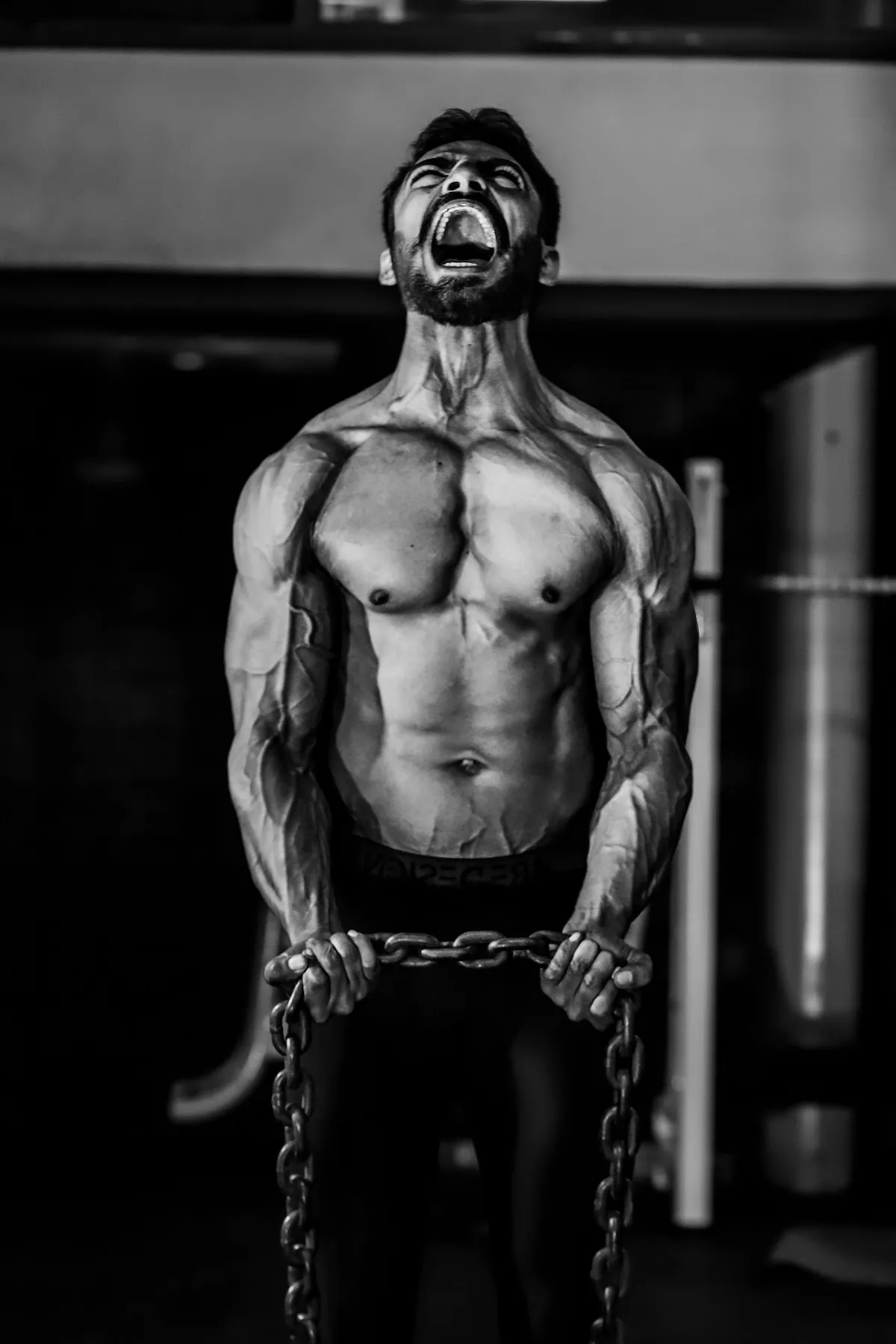 PhotosGallery photo 3