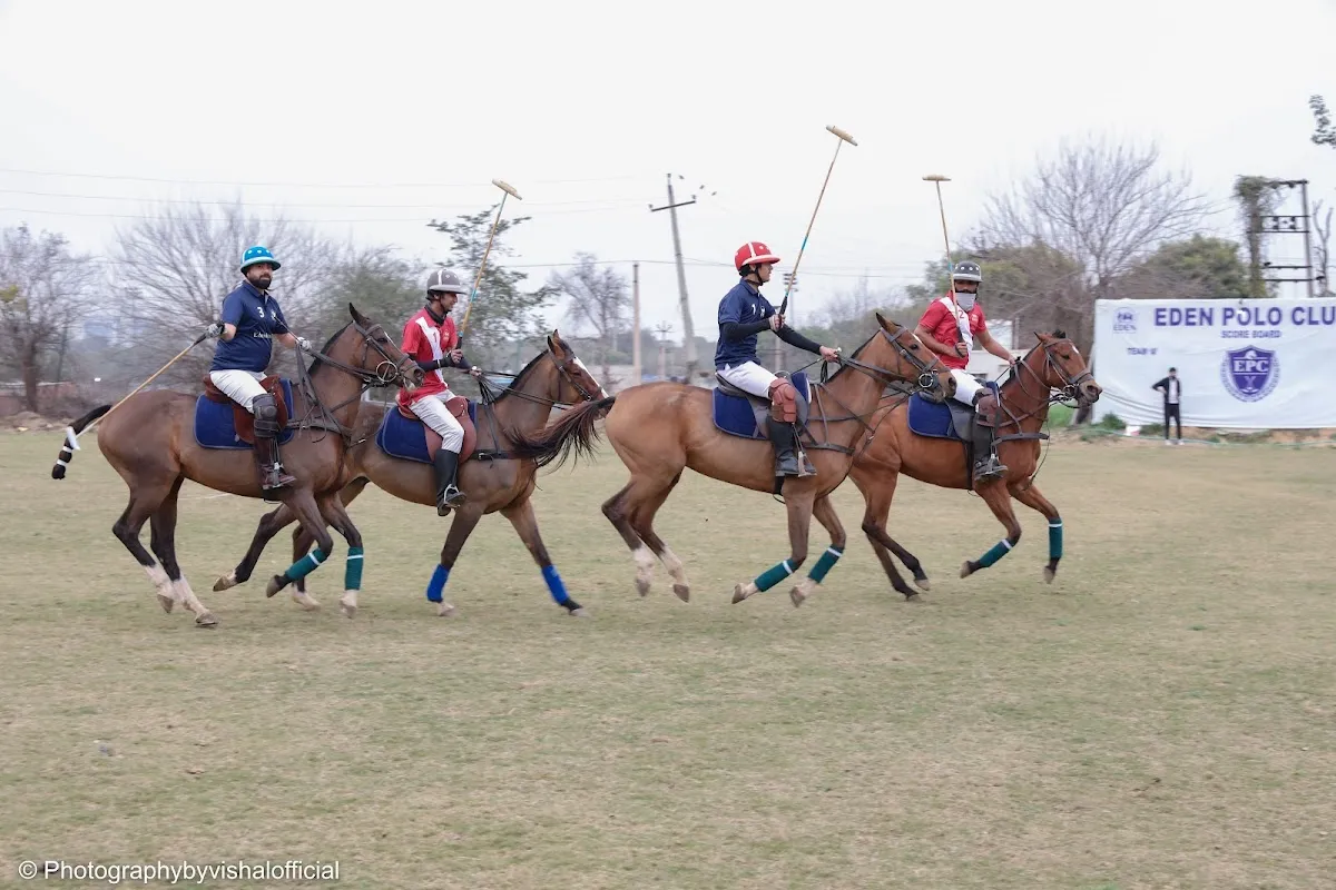 Eden Polo Club photo 2
