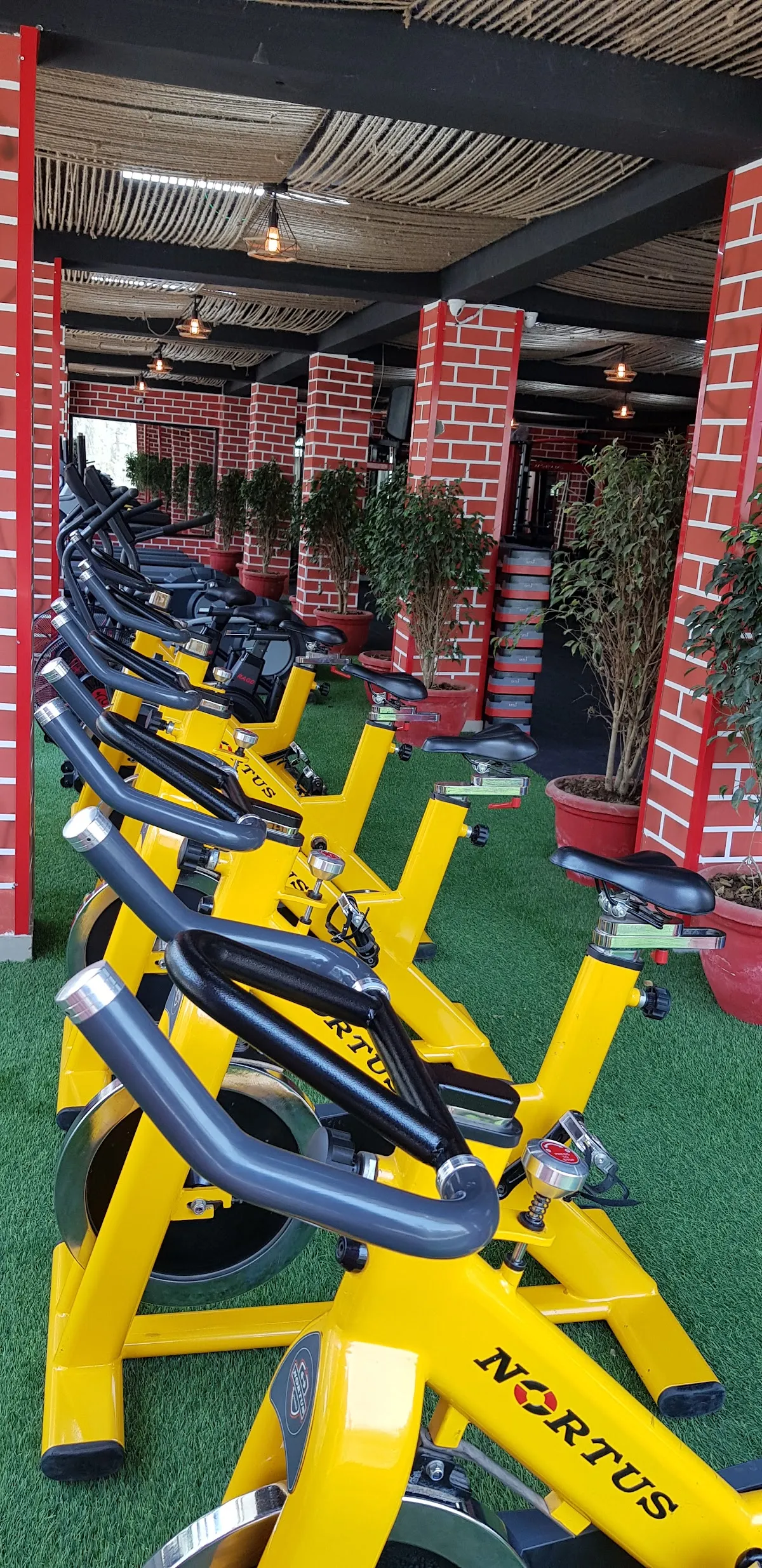 Empire Of Fitness, Phase 3 photo 3