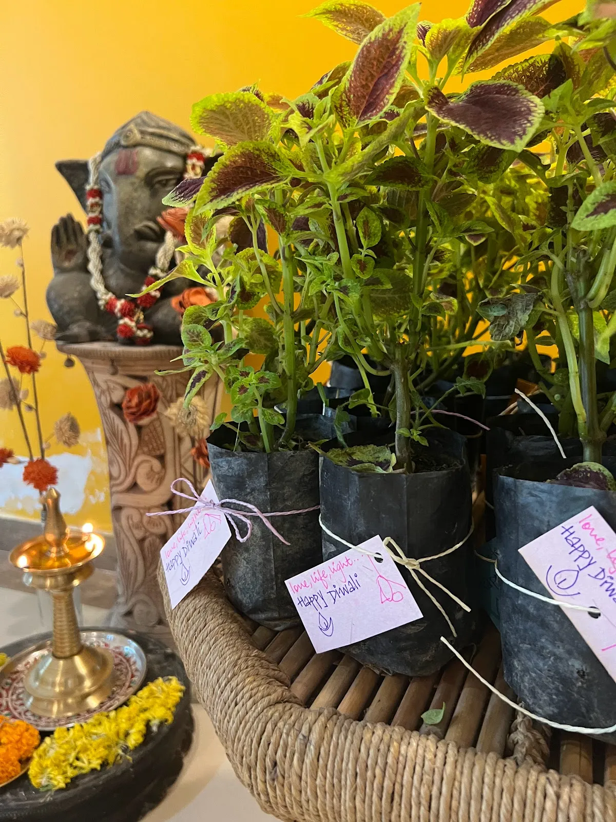 Sivananda Yoga Centre, Gurgaon photo 5