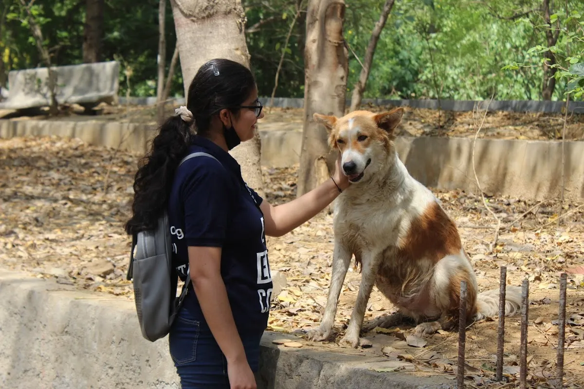Teens of God (Regd. NGO) photo 6