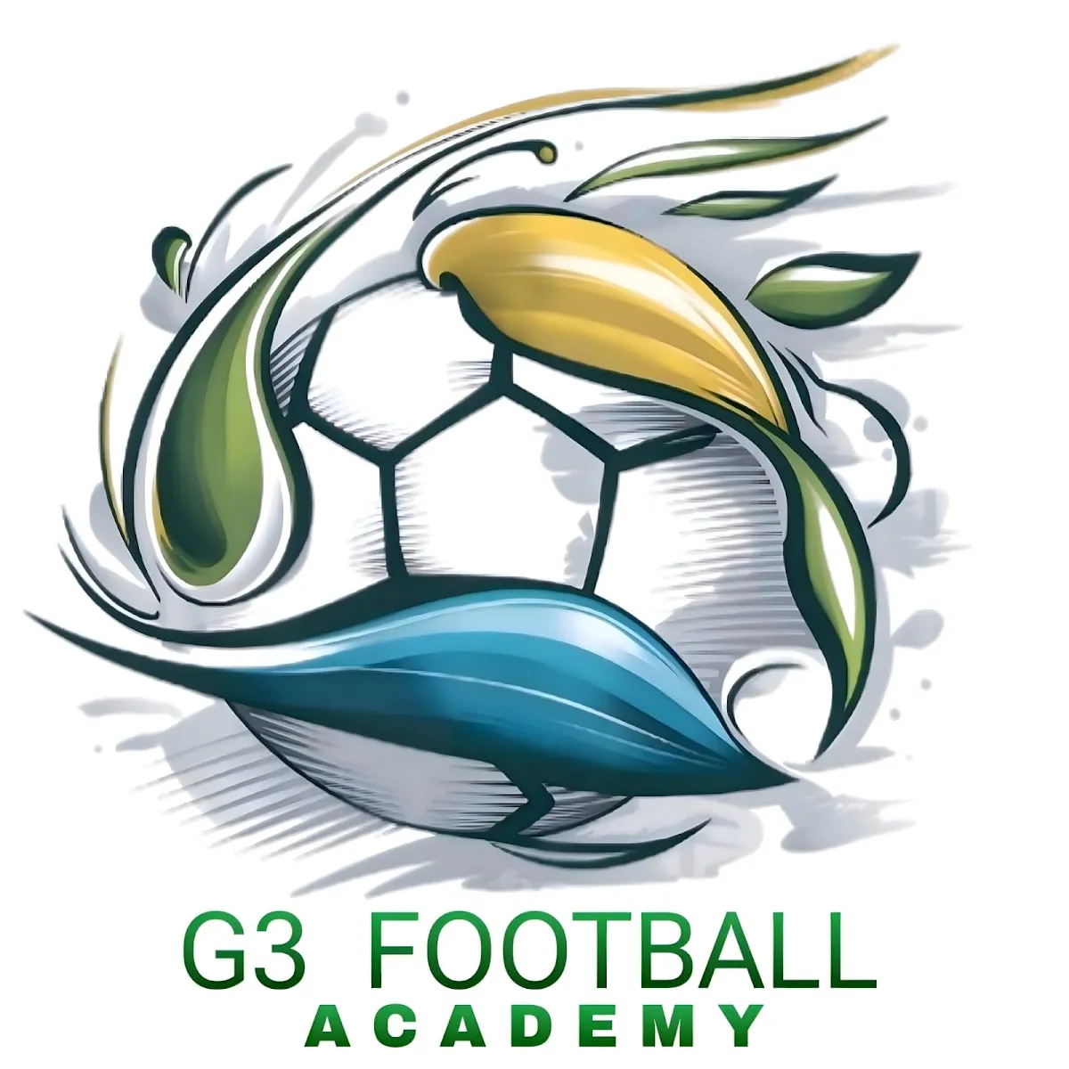 G3 Football academy photo 6