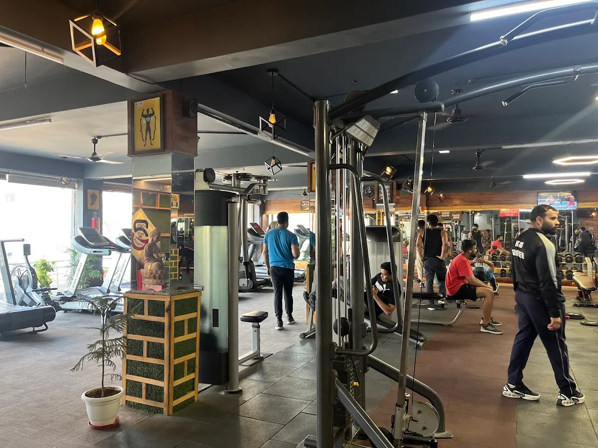 Curl Fitness Gym photo 3