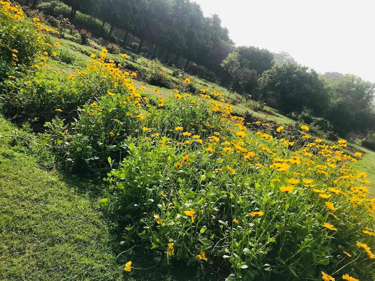 Fitso Flash - Tau Devi Lal Park, Gurugram photo 3