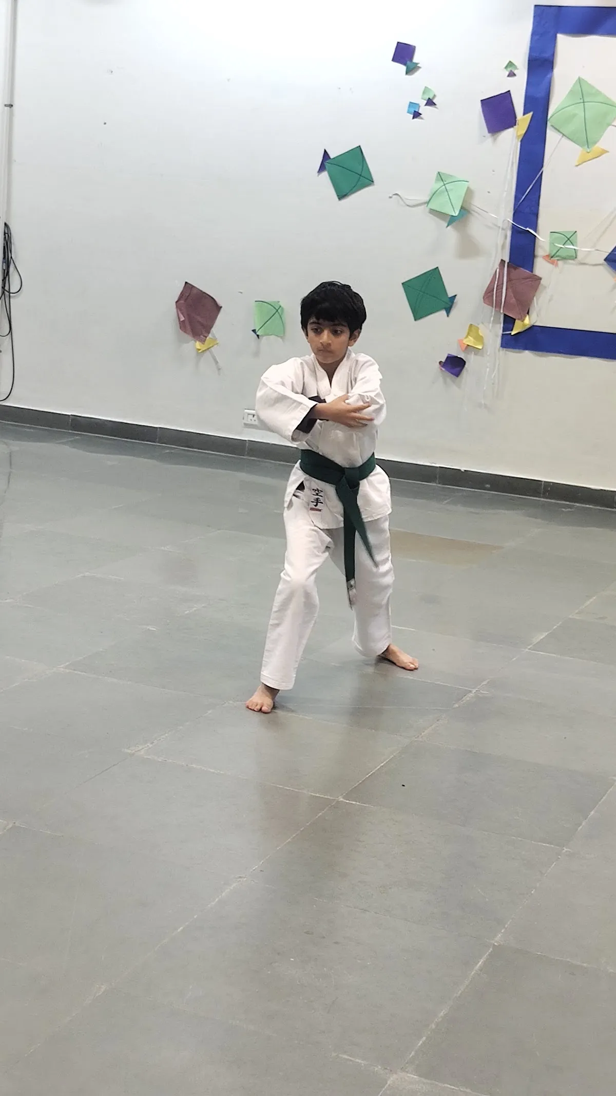 Karate Buddies photo 4