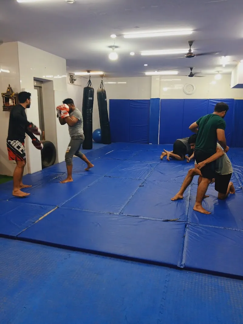 unity combat mma
