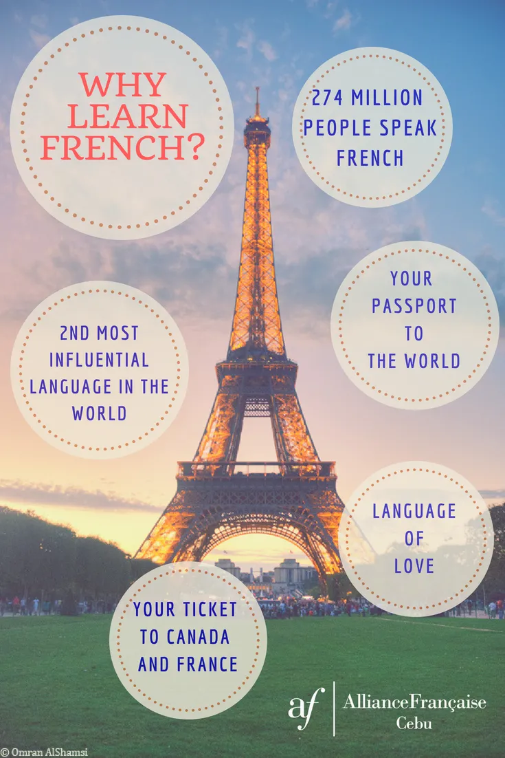 French Classes & Tuitions- Akash Dhawan( Online & Offline) photo 5
