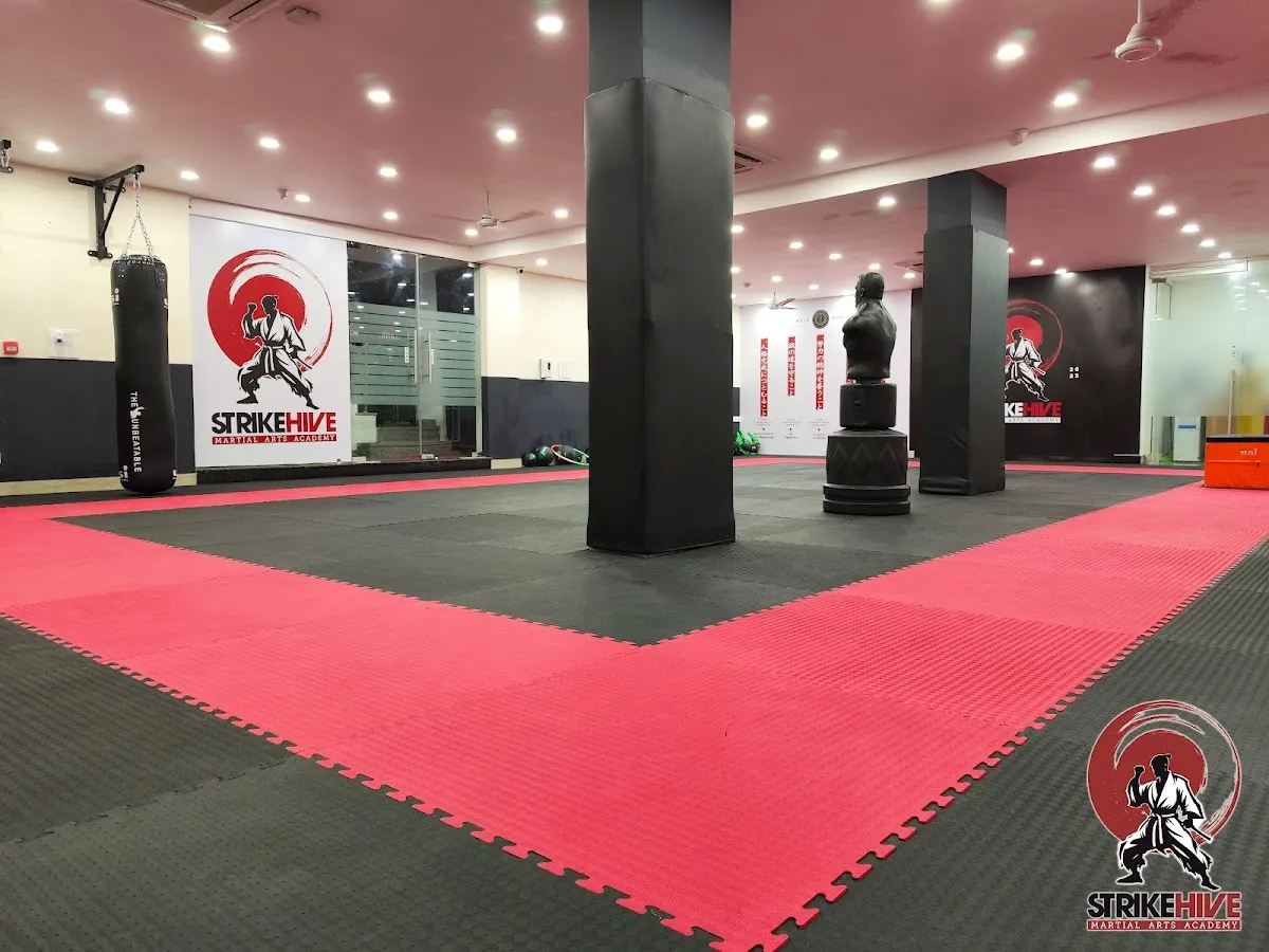 StrikeHive Martial Arts Academy photo 2
