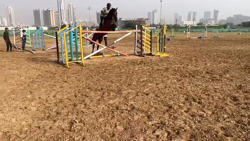 WOODSTOCK RIDING SCHOOL photo 5