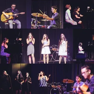 Institute of music dynamics photo 2