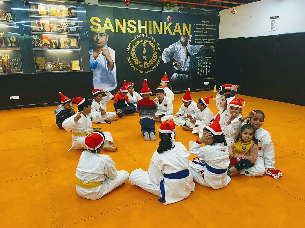 Sanshinkan 43 - MMA | Karate | Kickboxing | Jiu Jitsu | Self Defense photo 5