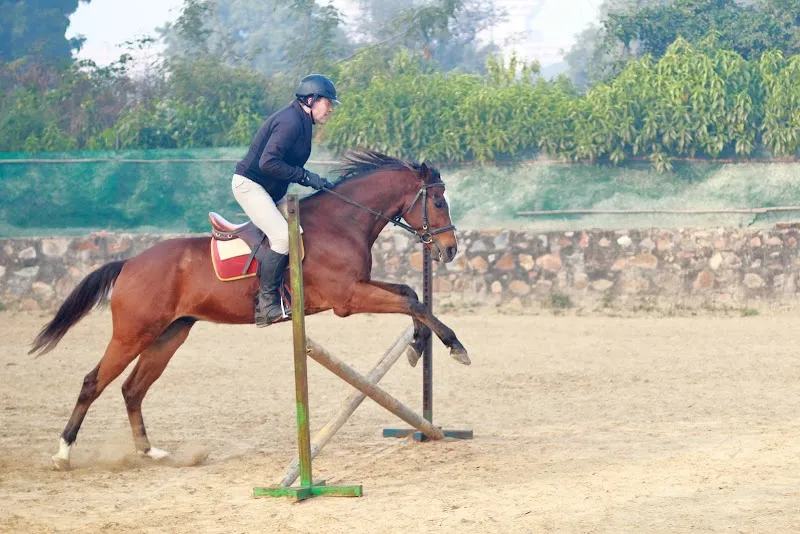 Adagio Riding Stables