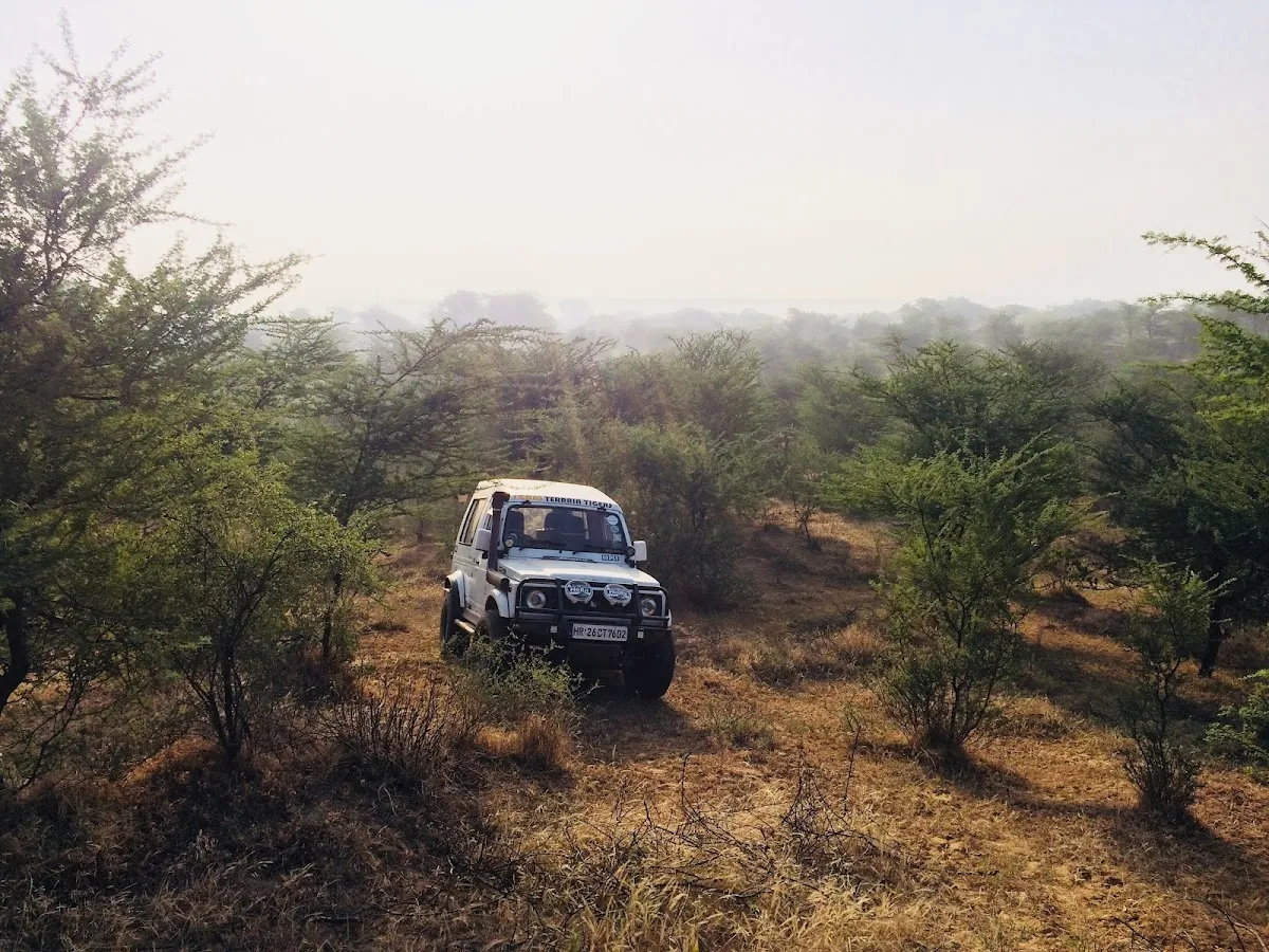 Golden Greens Golf & Resorts Limited photo 5