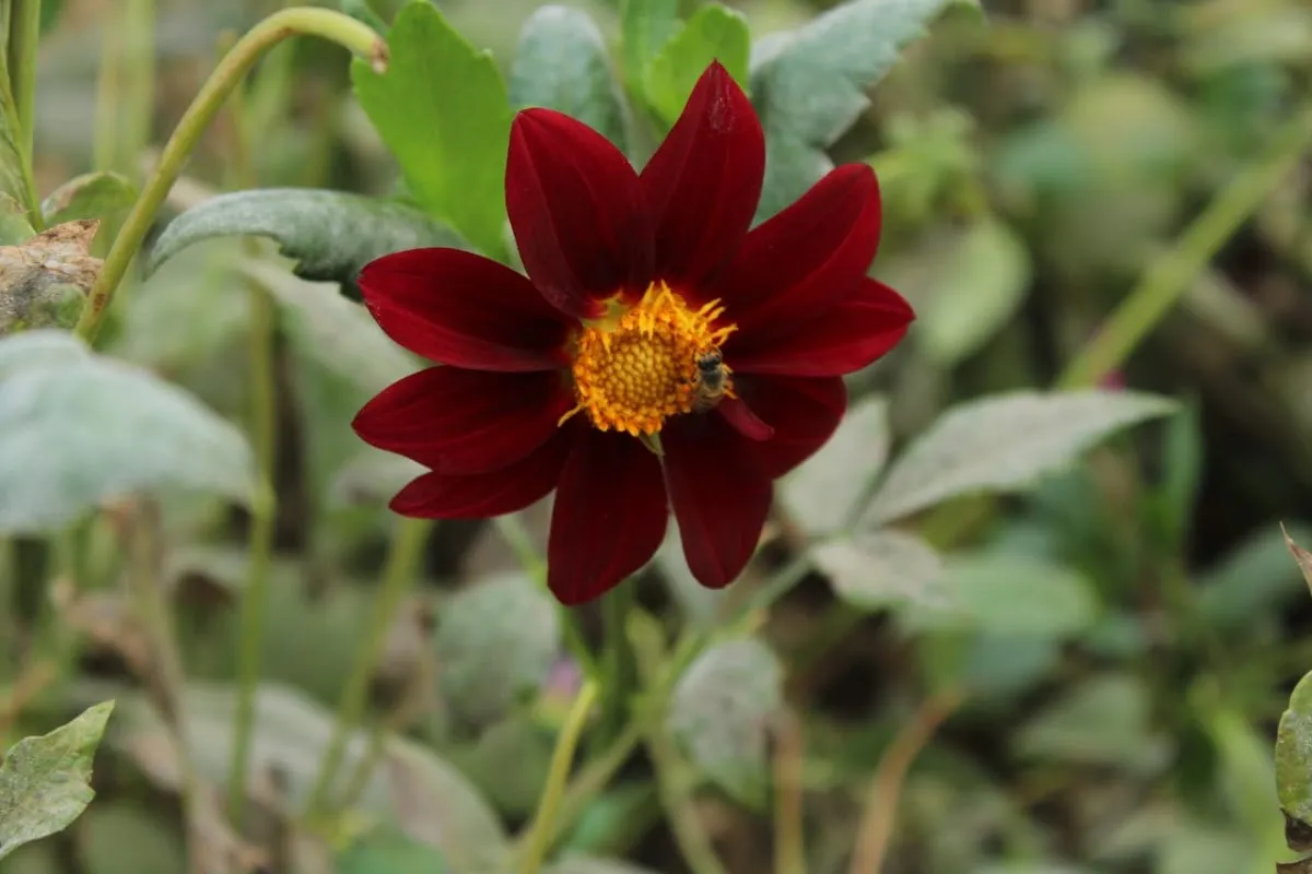 Lens Academy photo 3