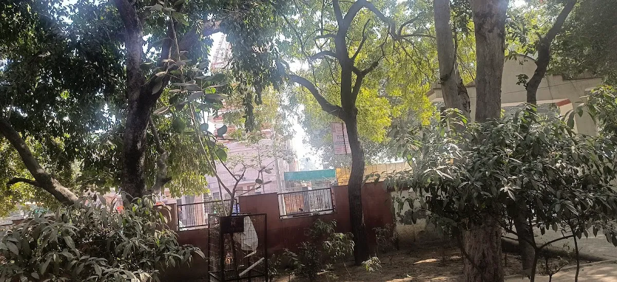 GD Goenka Swimming Pool photo 5