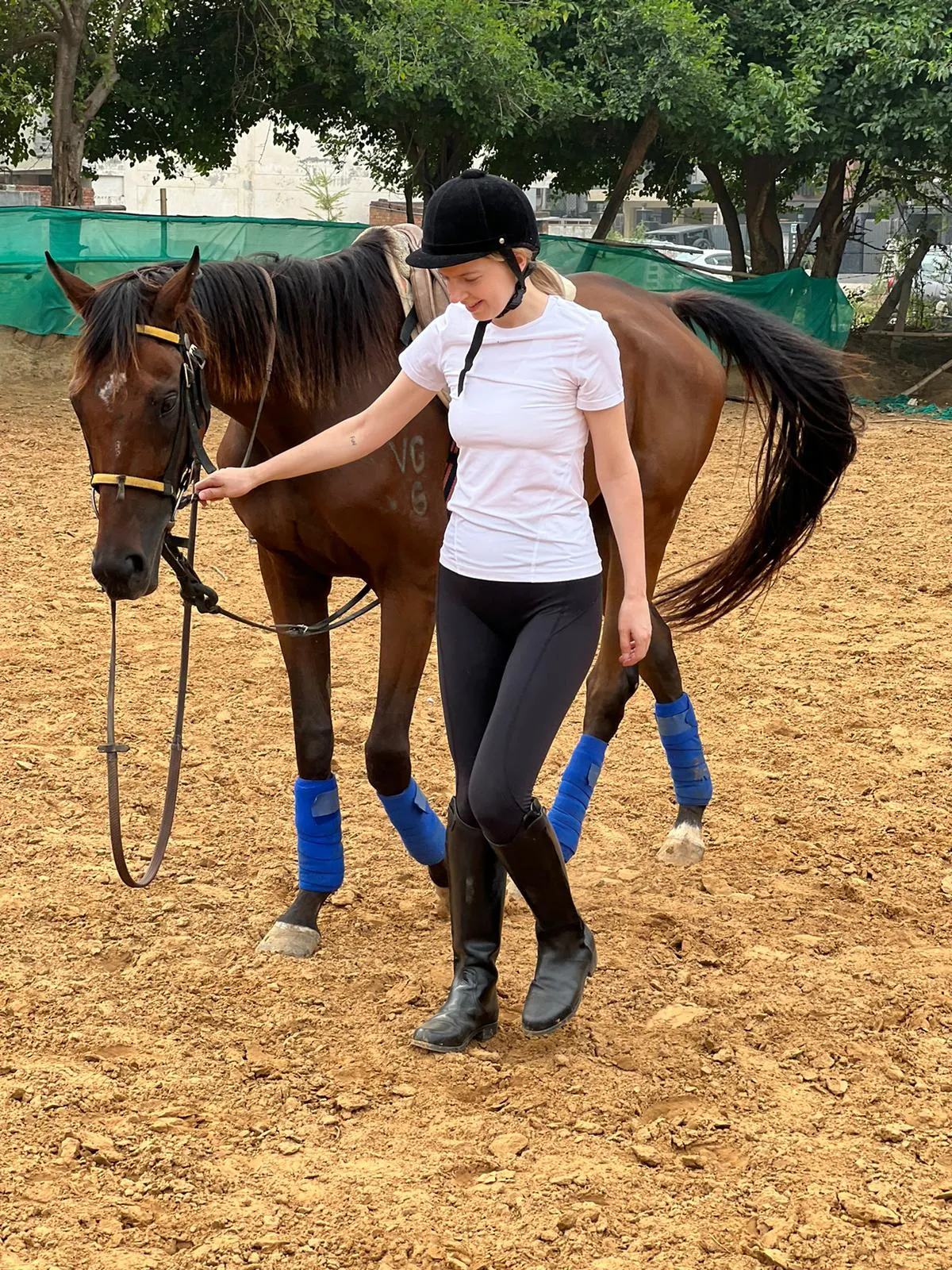 DEV HORSE RIDING STABLES photo 2