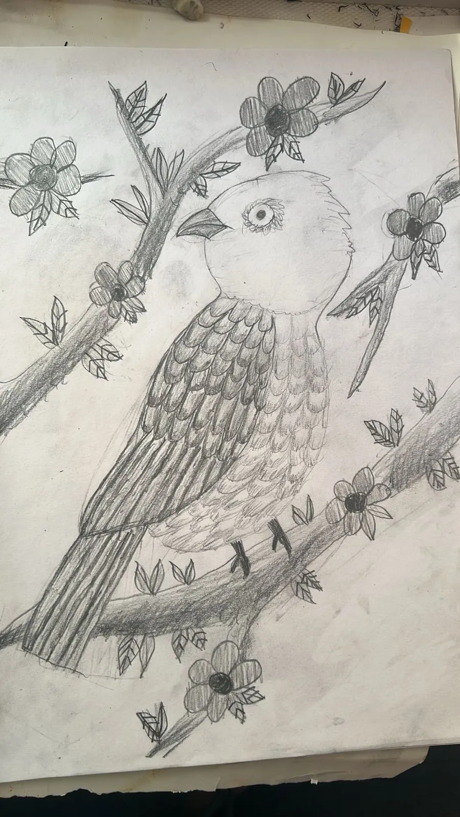 Flap Classes photo 3