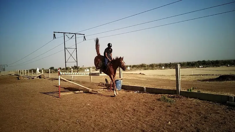 Aravali Horse Riding Club